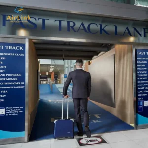 VIP fast track Vietnam airport arrival service Airlink to skip immigration queues